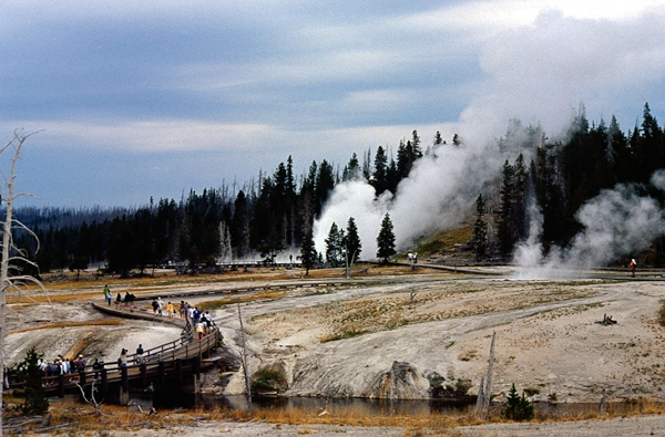 20000801   Yellowstone 030